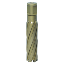 J&aacute;drov&yacute; vrt&aacute;k &Oslash; 19 mm Karnasch HARD-LINE 80
